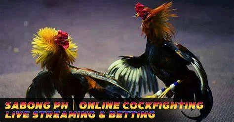 Online Sabong: Live Cockfighting Derby Streaming & Betting